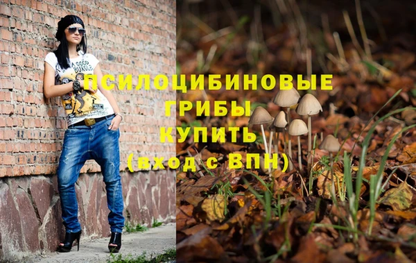 apvp Белокуриха