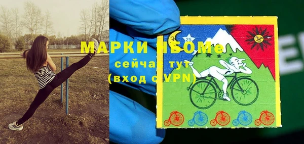 apvp Белокуриха