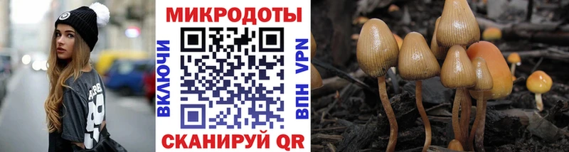 Галлюциногенные грибы Magic Shrooms  купить закладку  Волгореченск 
